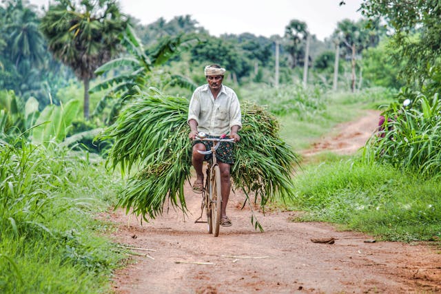 Sustainable Farming Practices for the Future